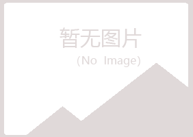 碾子山区迷失会计有限公司